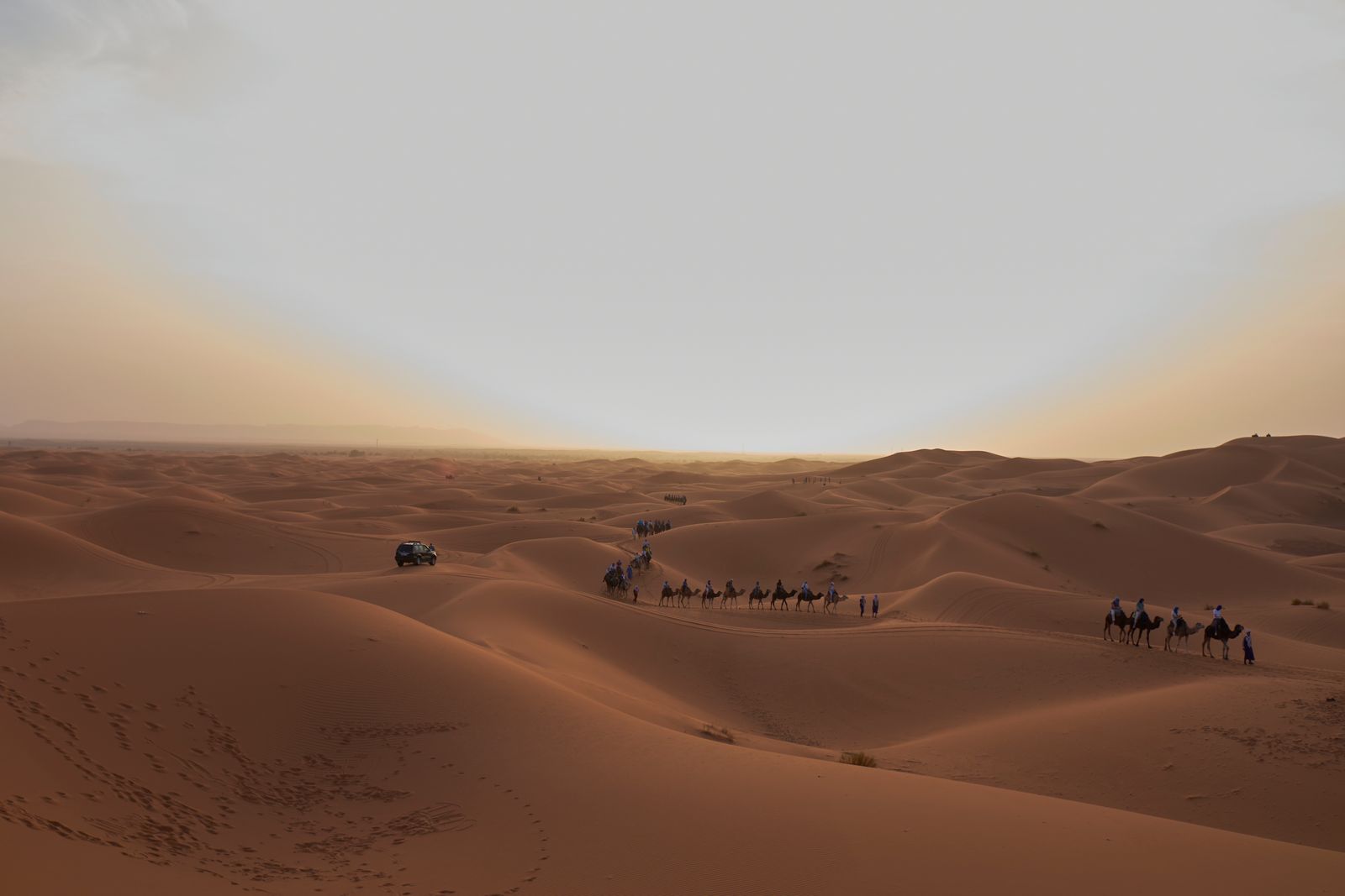 Camel caravan crossing the Merzouga dunes at sunset